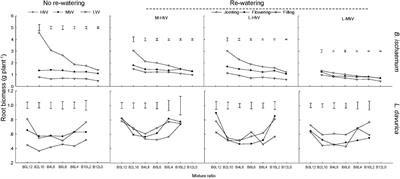 Soil Moisture Availability at Early Growth Stages Strongly Affected Root Growth of Bothriochloa ischaemum When Mixed With Lespedeza davurica